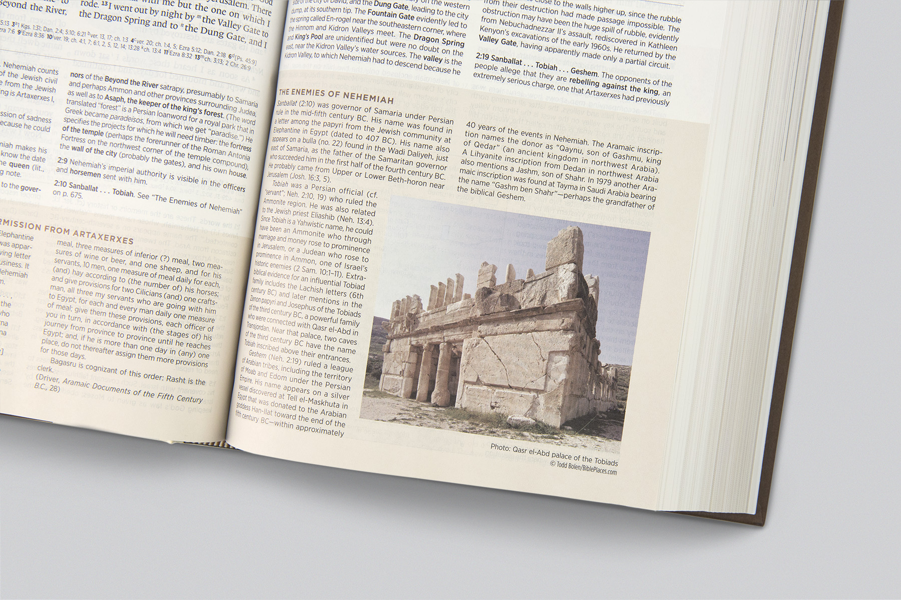 ESV Archaeology Study Bible (9781433550409) Free Delivery Eden.co.uk