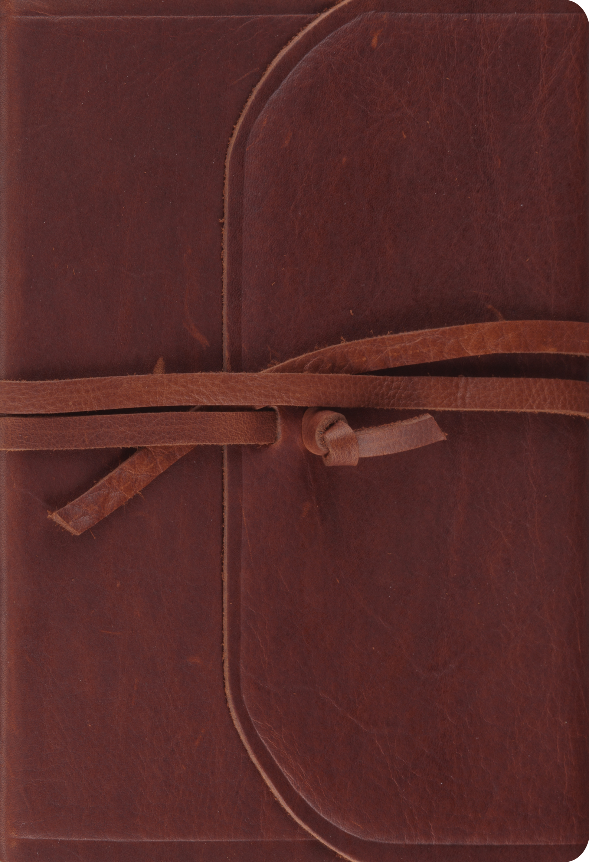 ESV Student Study Bible 9781433556265 Free Delivery Eden co uk