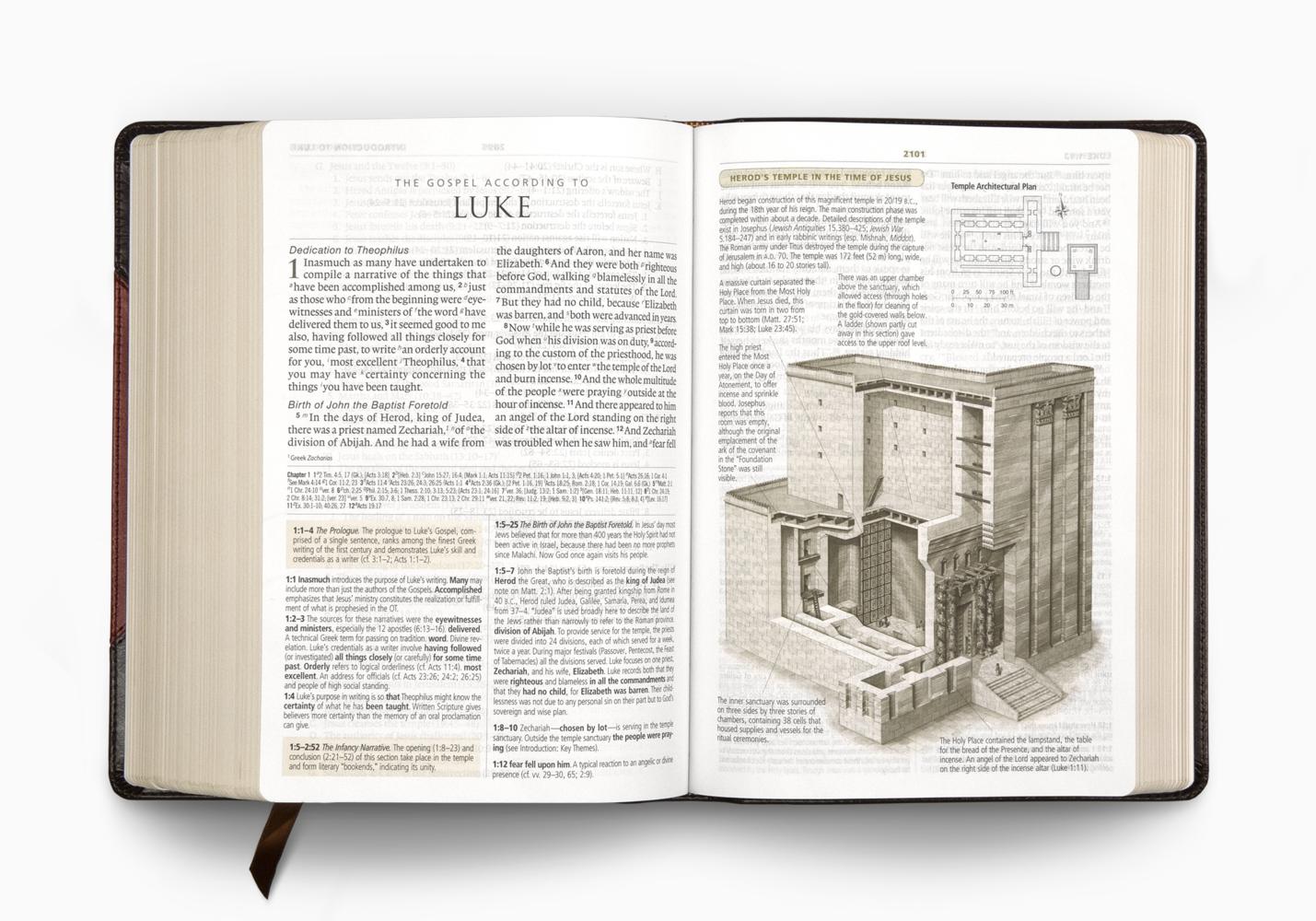 ESV Study Bible Large Print 9781433557668 | Eden.co.uk