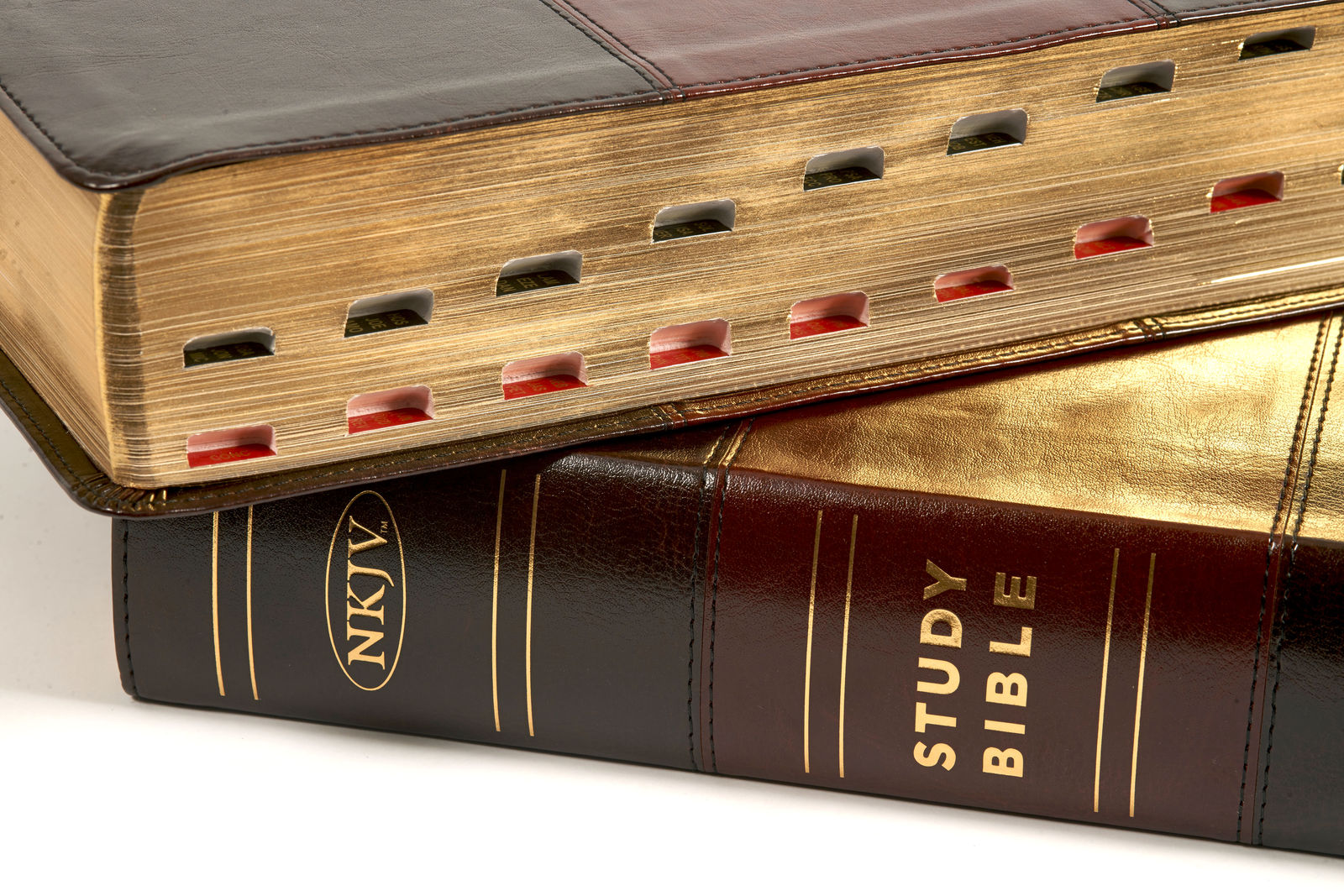 Holman Study Bible: NKJV Large Print Edition | Free Delivery @ Eden.co.uk