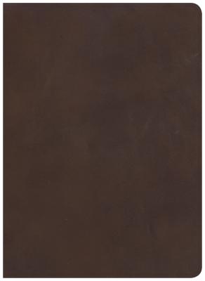 CSB Study Bible, Brown Genuine Leather, Indexed - Faithful and True CSB Study Bible, Brown Genuine Leather, Indexed - Faithful and True