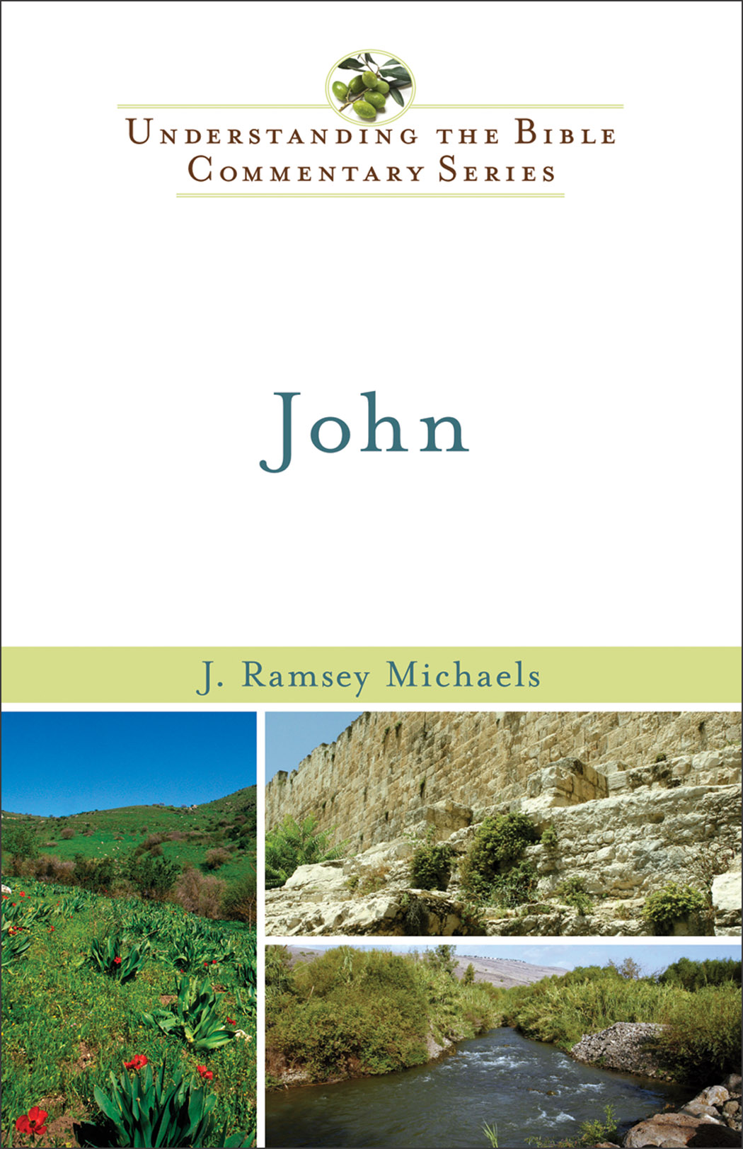 John (Understanding the Bible Commentary Series) [eBook]