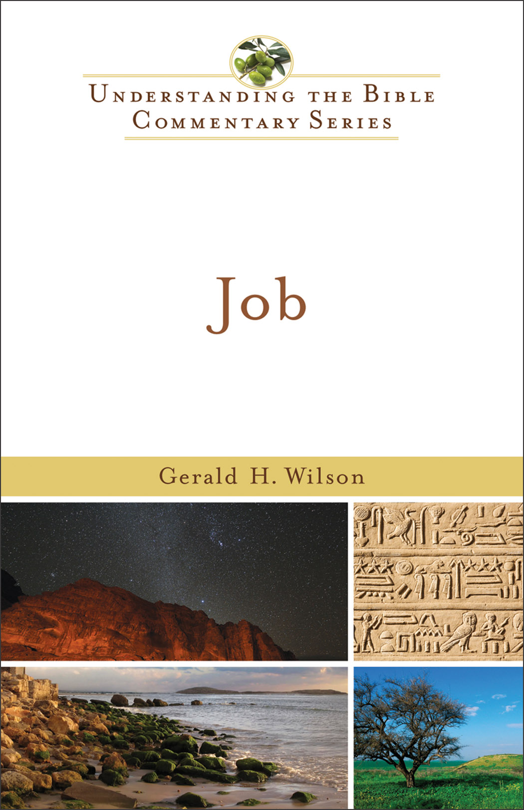 Job (Understanding the Bible Commentary Series) [eBook]