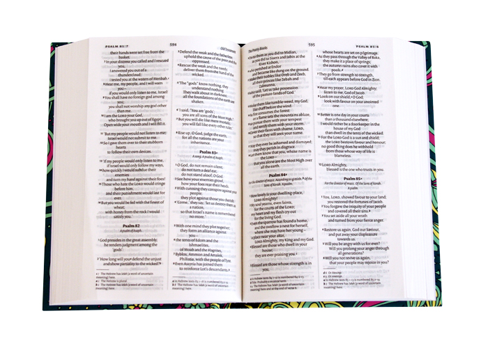 NIV Pocket Bible Free Delivery Eden.co.uk