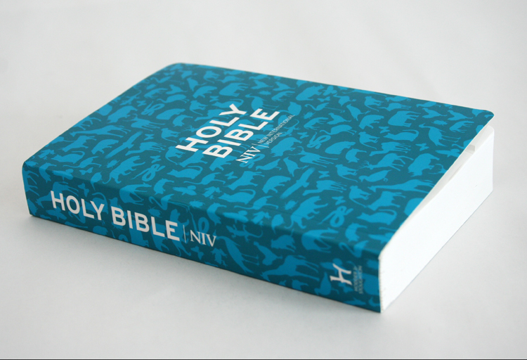 NIV Pocket Bible Anglicised Paperback Free Delivery when you spend £