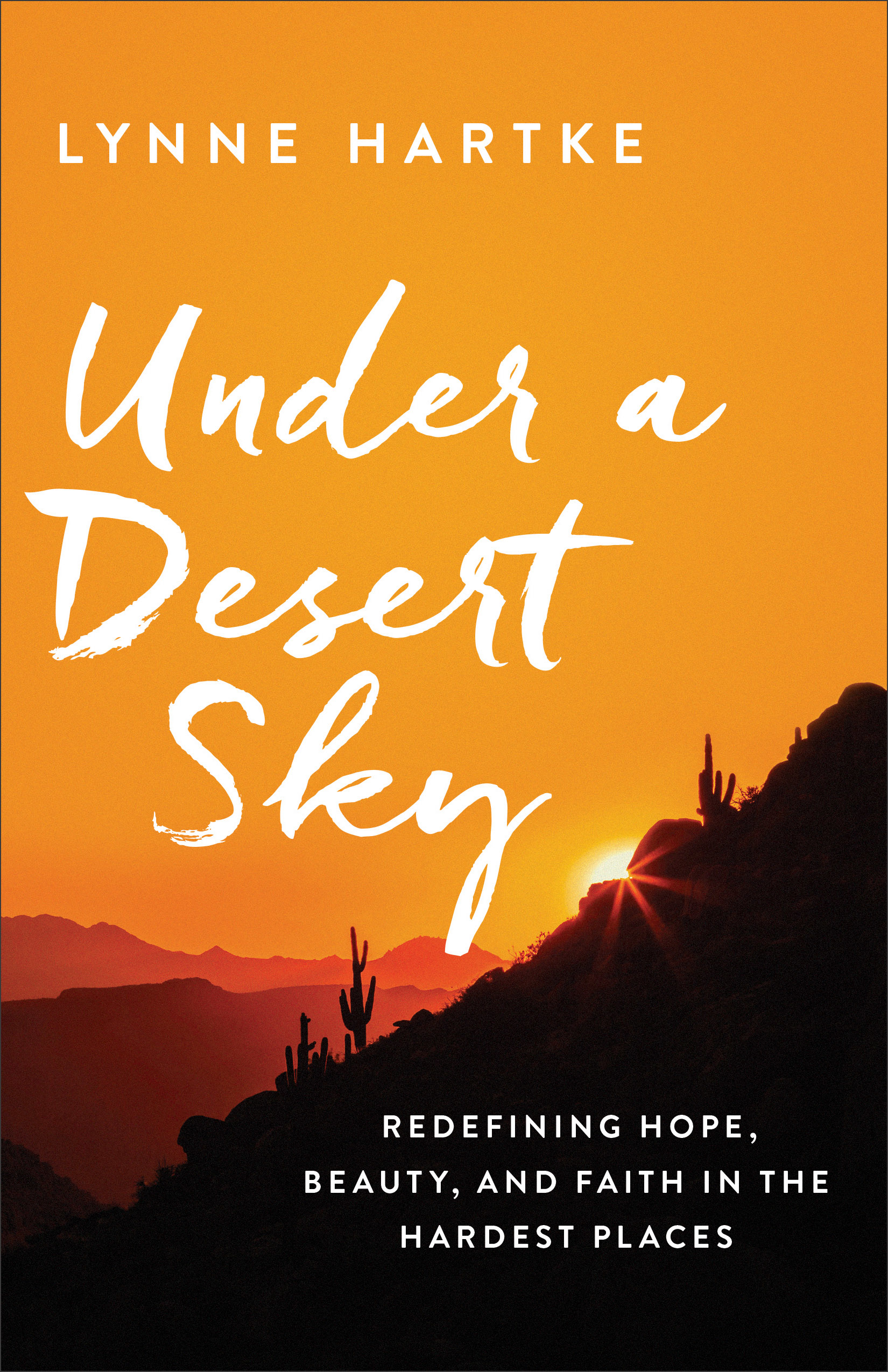 Under a Desert Sky