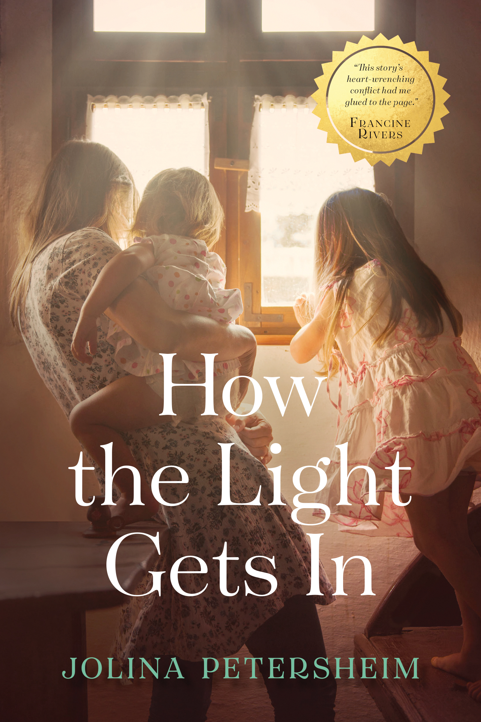 How the Light Gets In by Jolina Petersheim Free Delivery at Eden