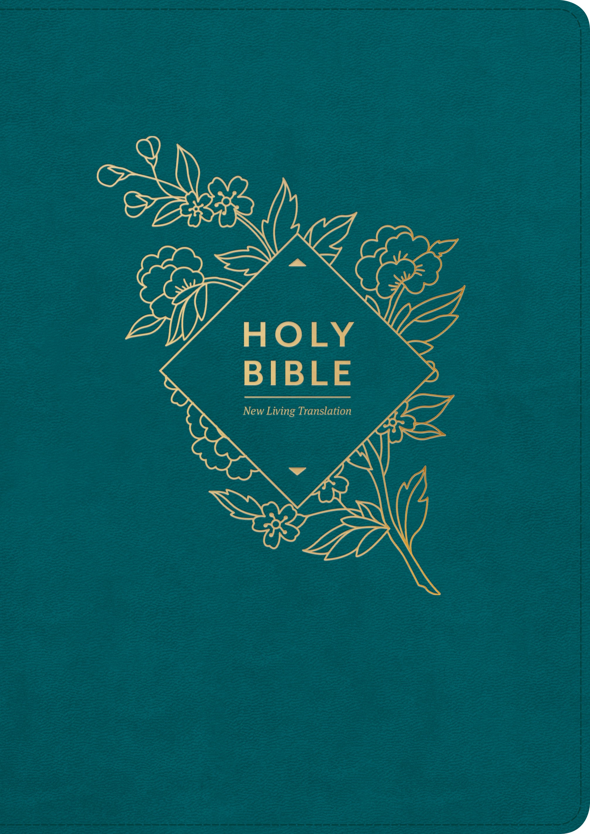 Holy Bible, Giant Print NLT by New Living Translation | Free Delivery ...
