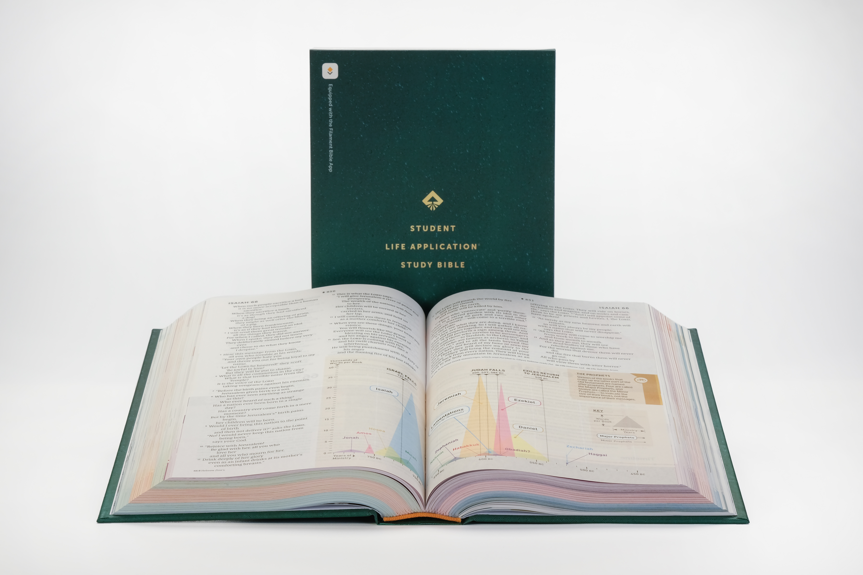 NLT Student Life Application Study Bible, Filament Enabled