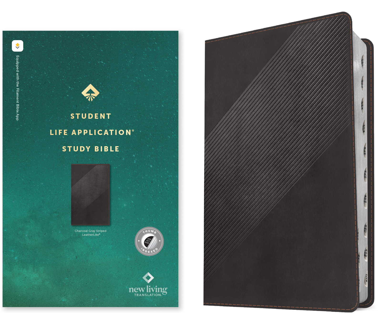 NLT Student Life Application Study Bible, Filament Enabled