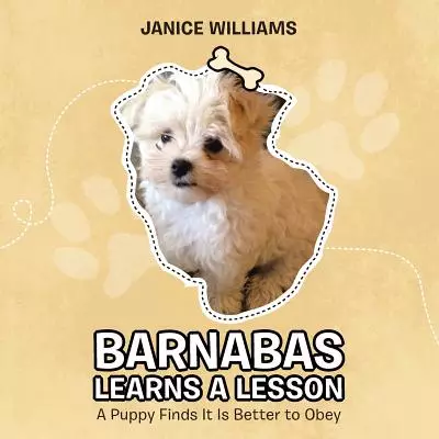 Barnabas Learns a Lesson: A Puppy Finds It Is Better to Obey