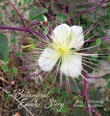 The Botanical Easter Story: Third Edition