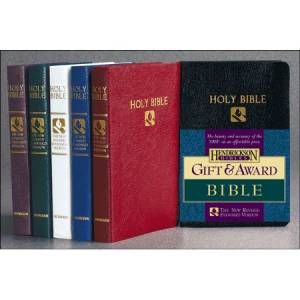 NRSV Gift & Award Bible: Burgundy, Imitation Leather