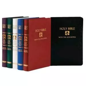 NRSV Gift & Award Bible with the Apocrypha: Burgundy Imitation Leather