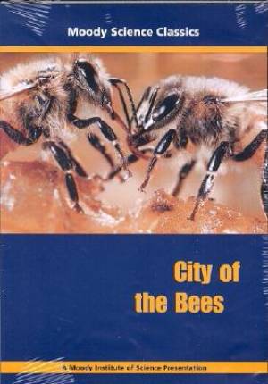 City Of The Bees DVD City Of The Bees DVD