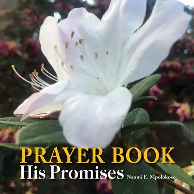 Prayer Book: His Promises