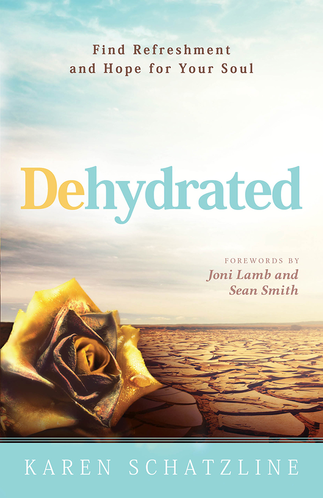 Dehydrated by Karen Schatzline Fast Delivery at Eden 9781629986203