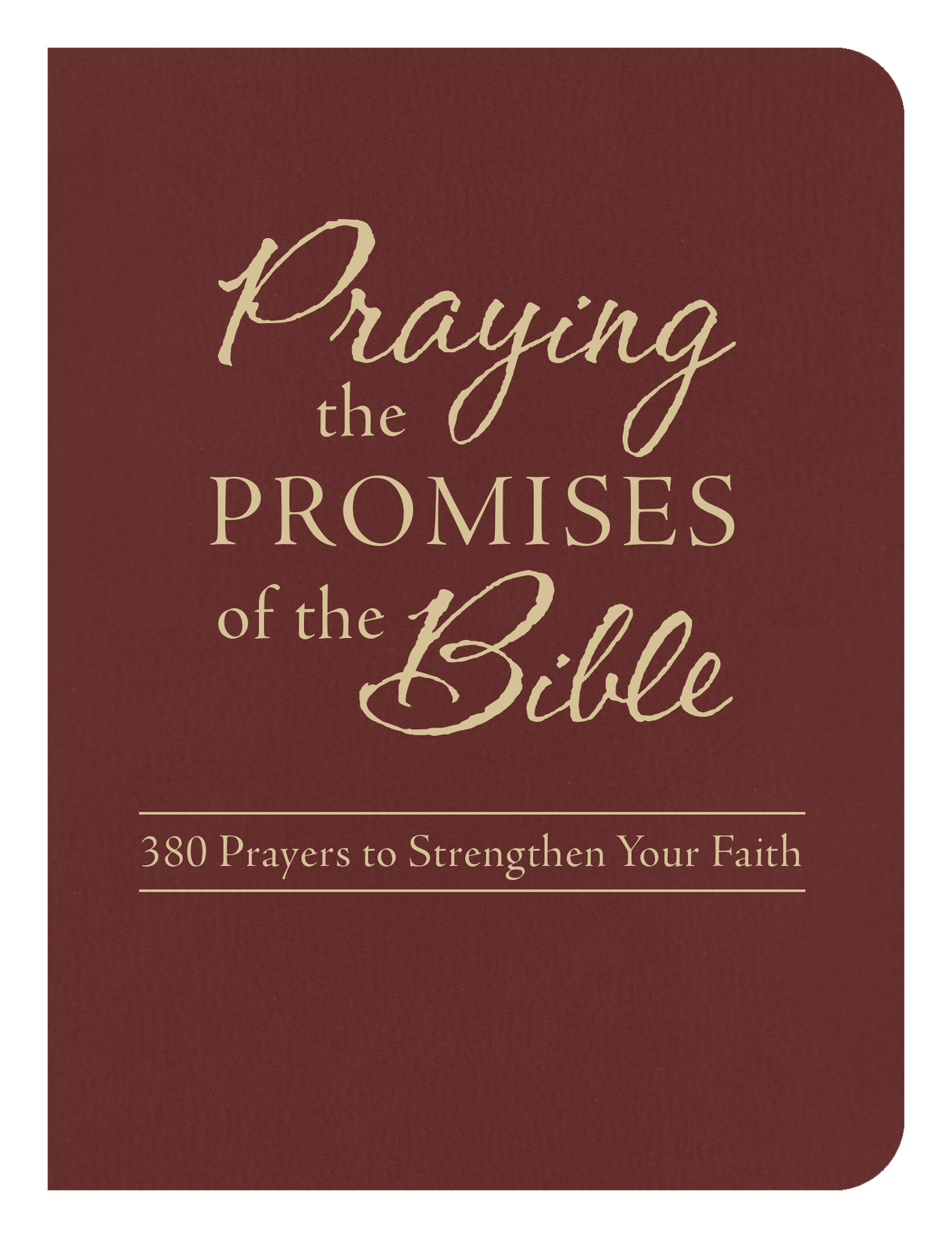 Praying The Promises Of The Bible 380 Prayers To Strengthen Your Faith