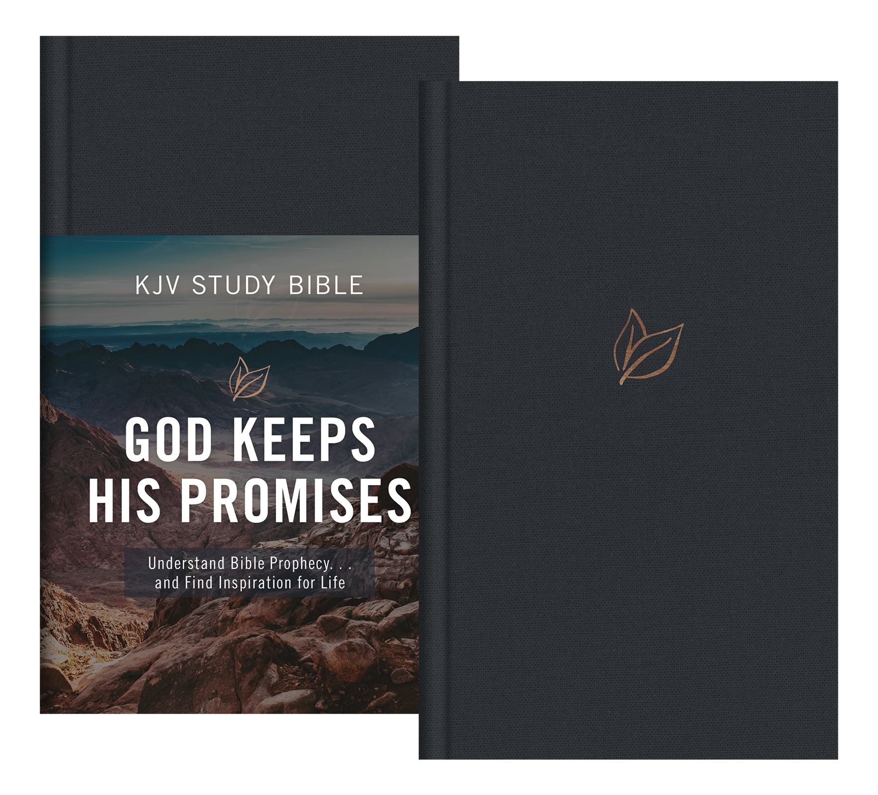 God Keeps His Promises KJV Study Bible [Slate Leaf]| Free Delivery at ...