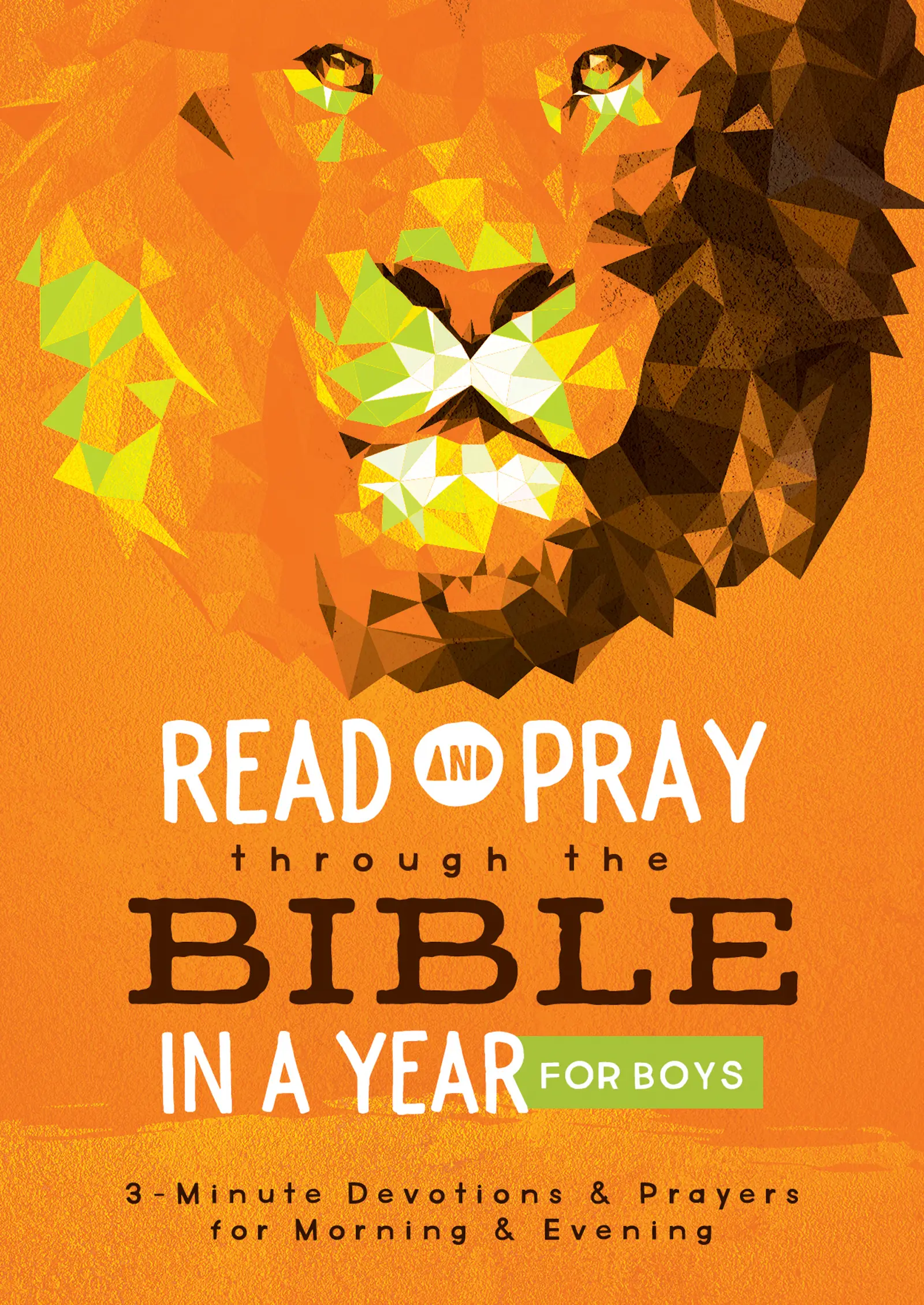 Read and Pray through the Bible in a Year for Boys: Free Delivery when ...