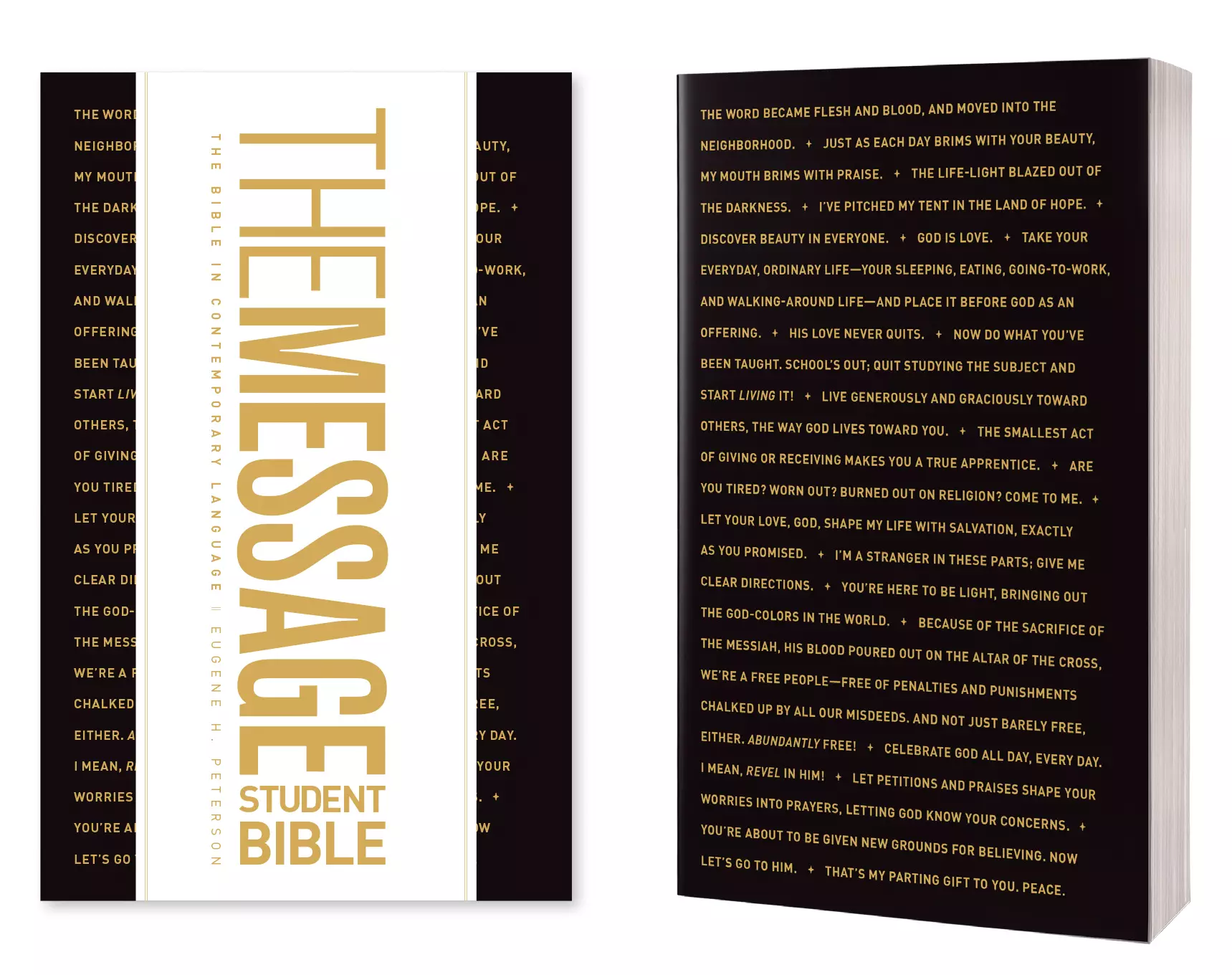Message Student Bible (Softcover)