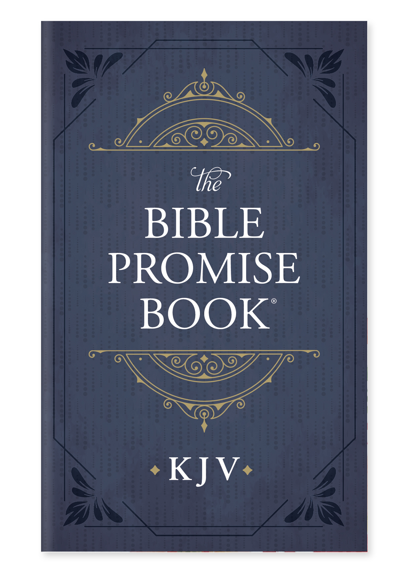 The Bible Promise Poster 