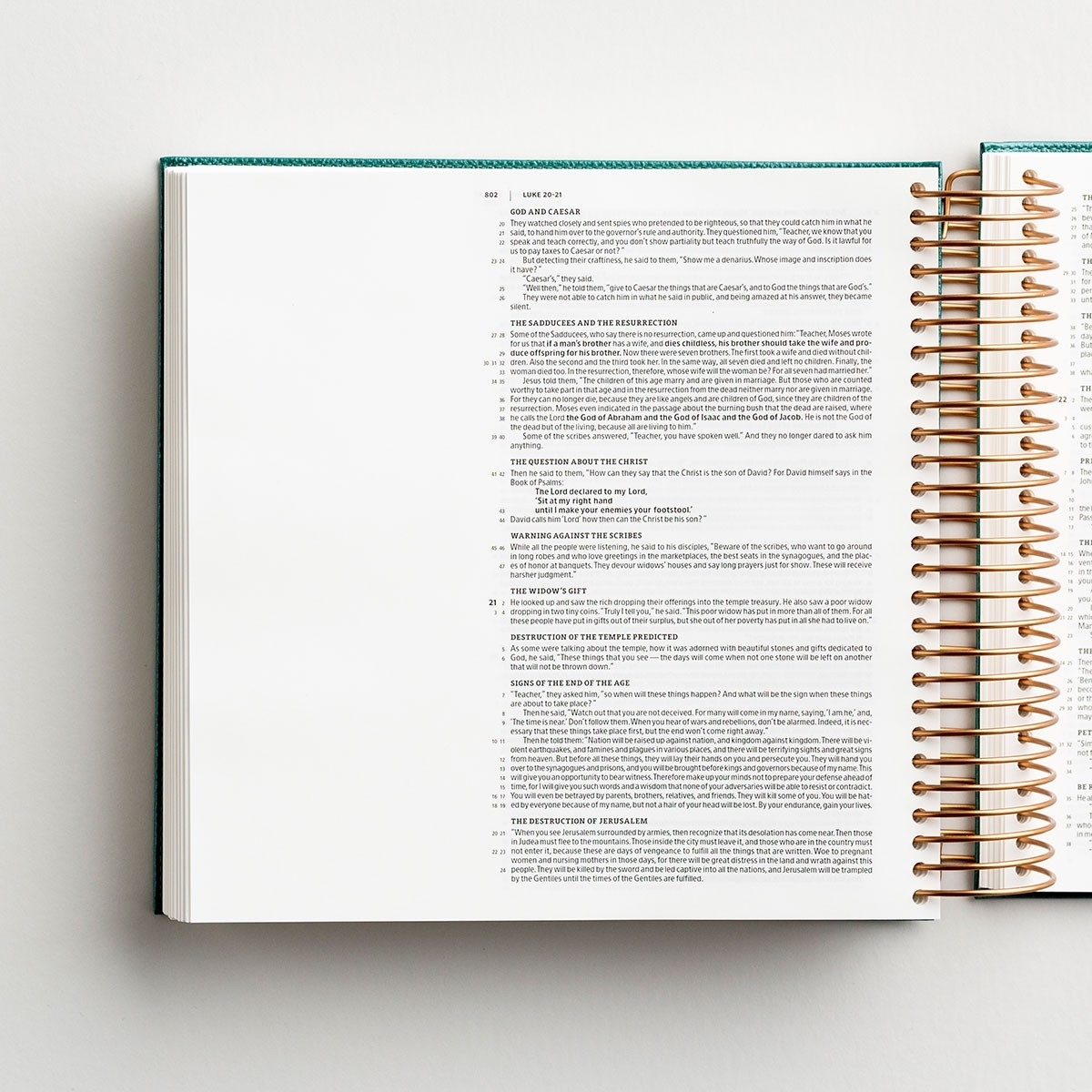 Illustrating Bible - CSB