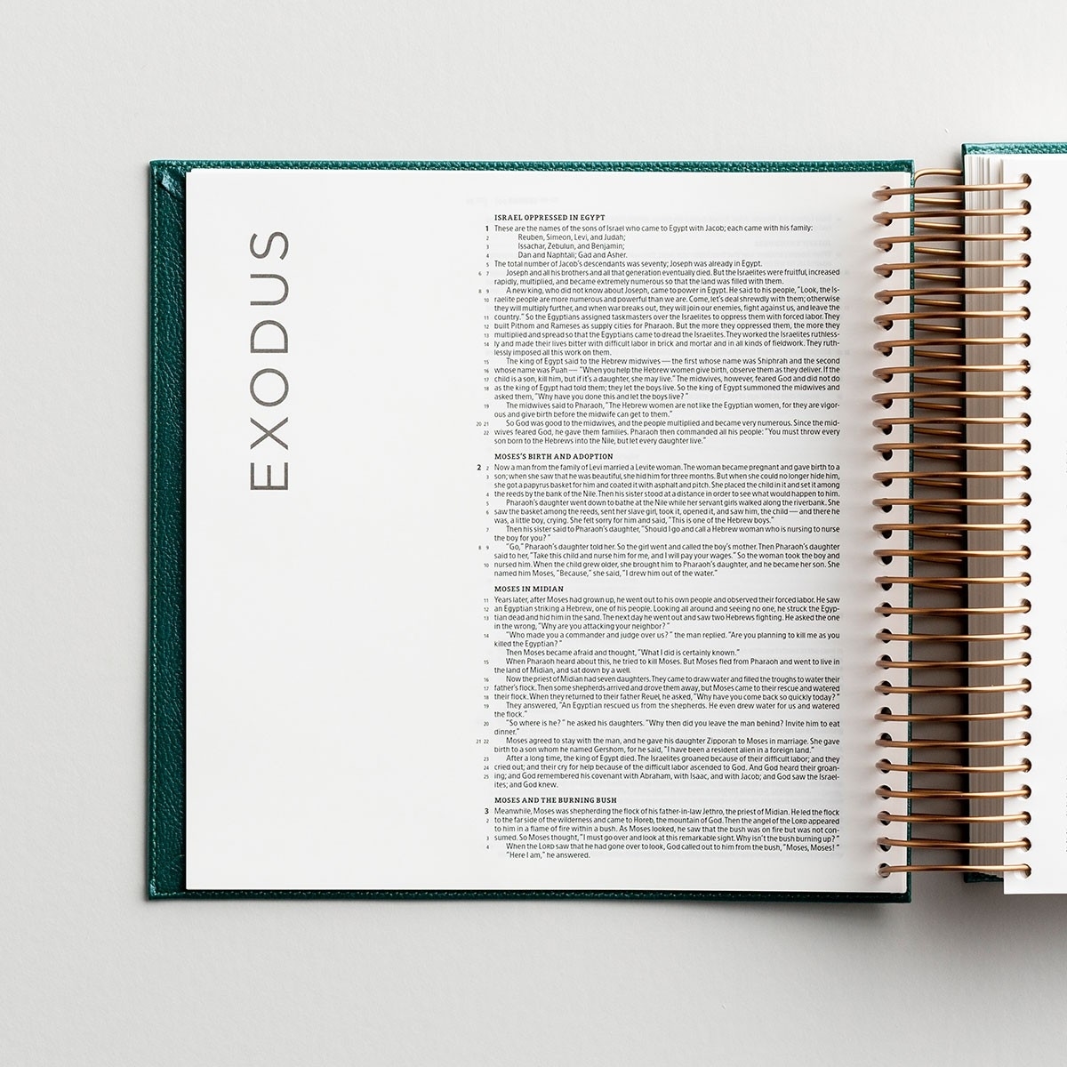 Illustrating Bible - CSB