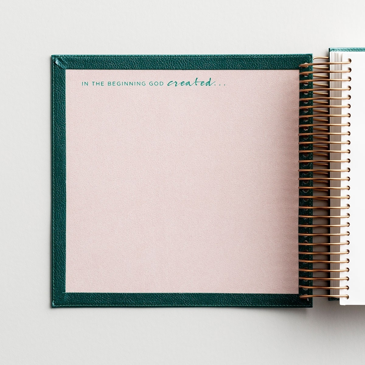 Illustrating Bible - CSB