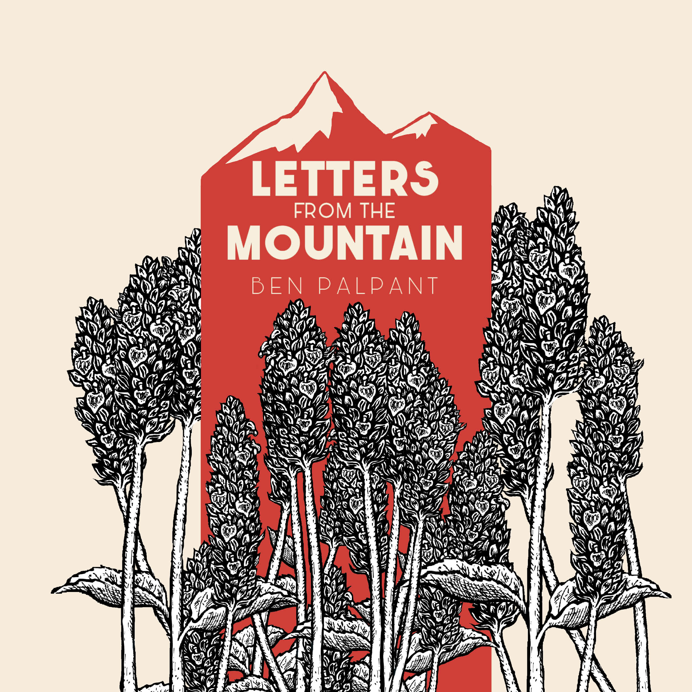 Letters From the Mountain