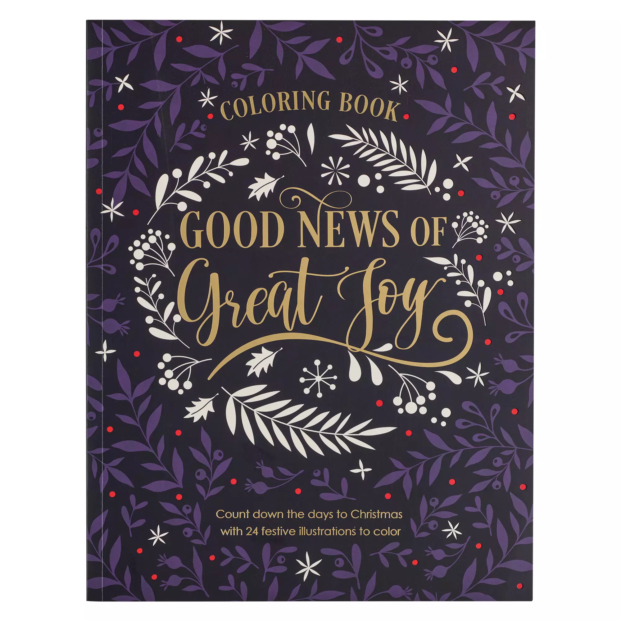 Coloring Book Good News of Great Joy