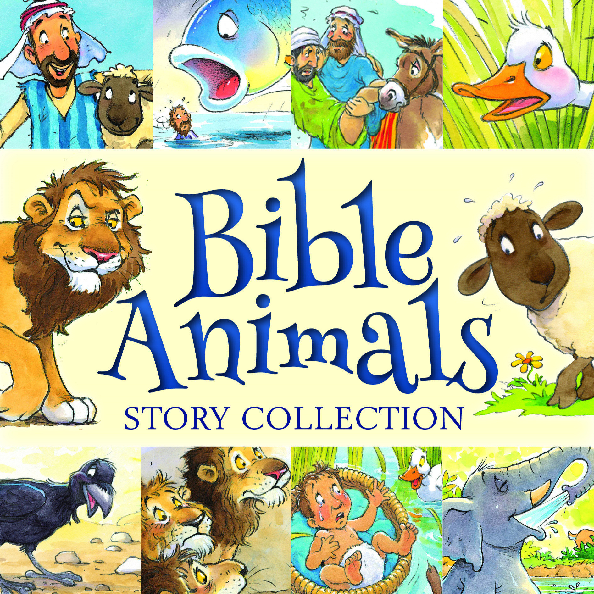 Bible Animals Story Collection by Juliet David Fast Delivery at Eden 9781781282861