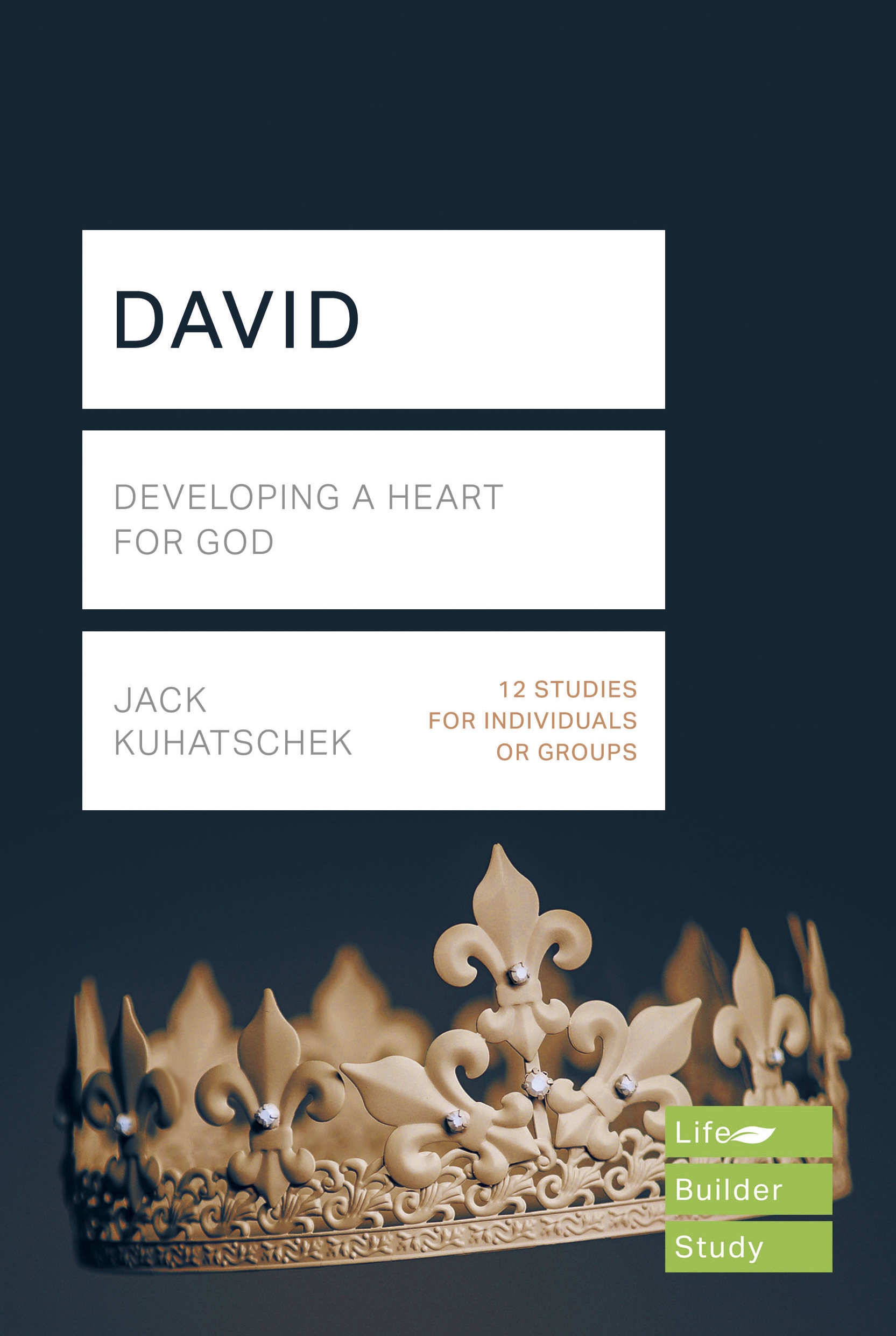 Lifebuilder Bible Study David by Jack Kuhatschek Fast Delivery