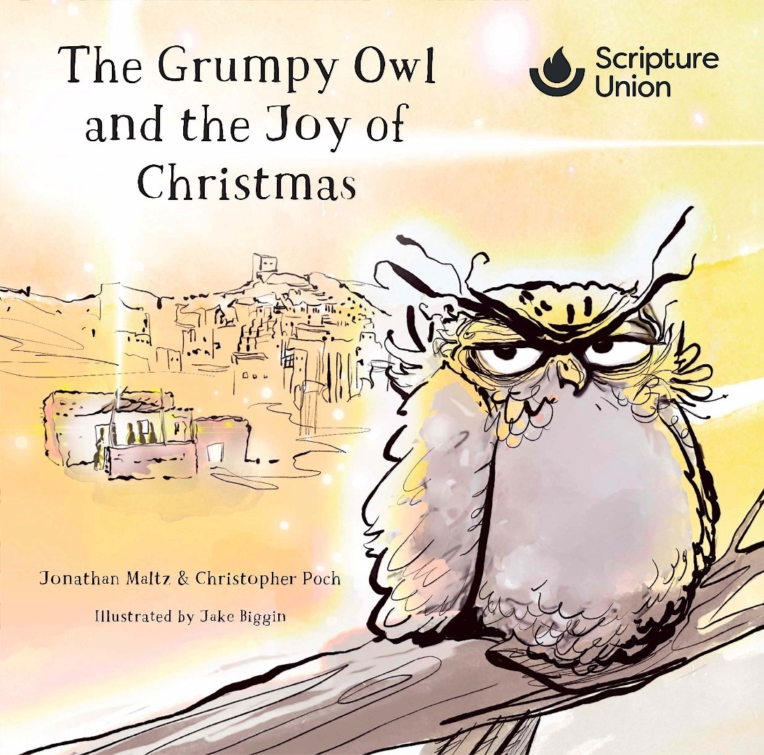 The Grumpy Owl and the Joy of Christmas (Single Copy)