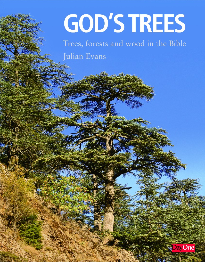 Gods Trees by Julian Evans Free Delivery at Eden 9781846254109