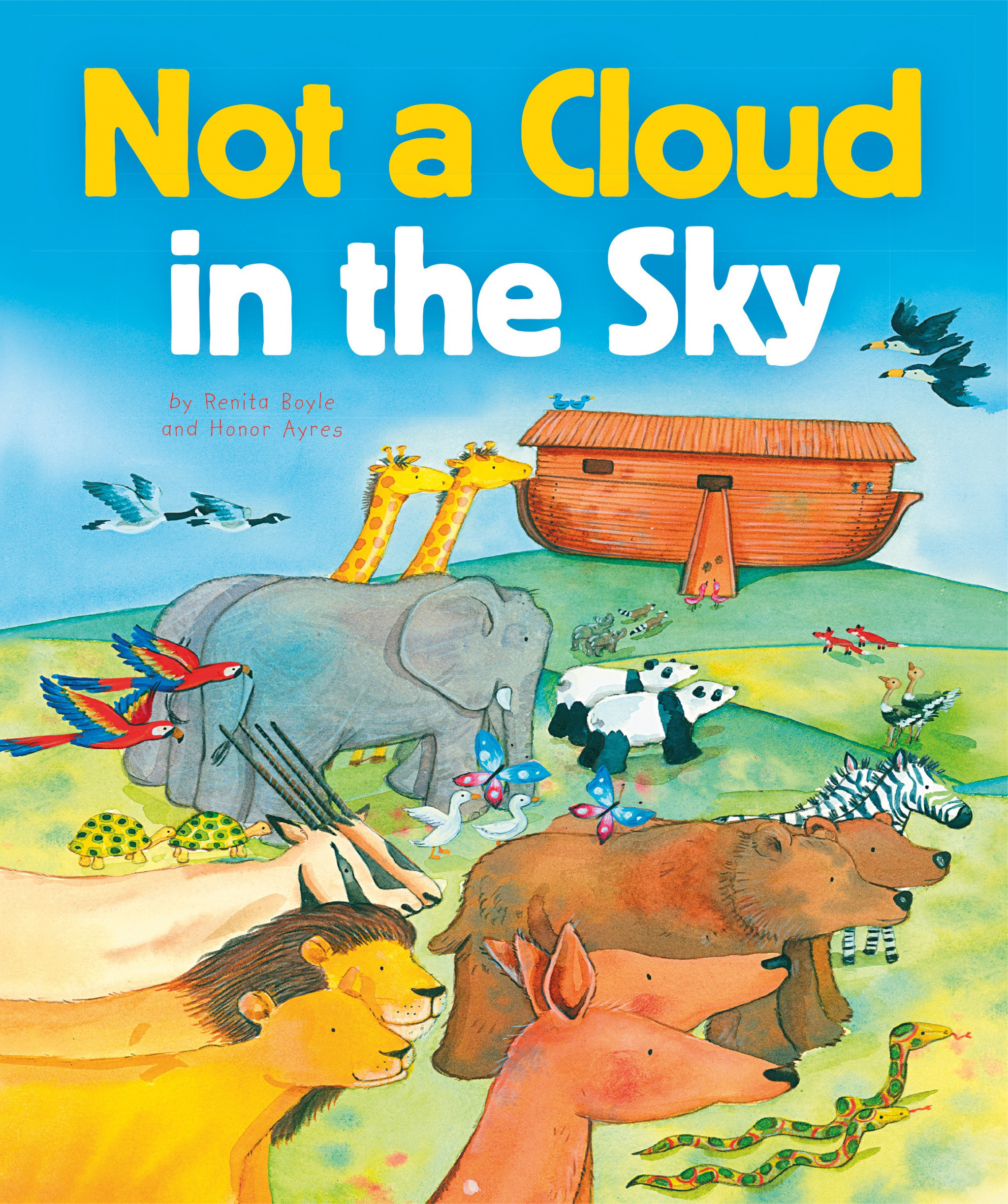 Not a Cloud in the Sky by Renita Boyle and Honor Ayres Fast Delivery