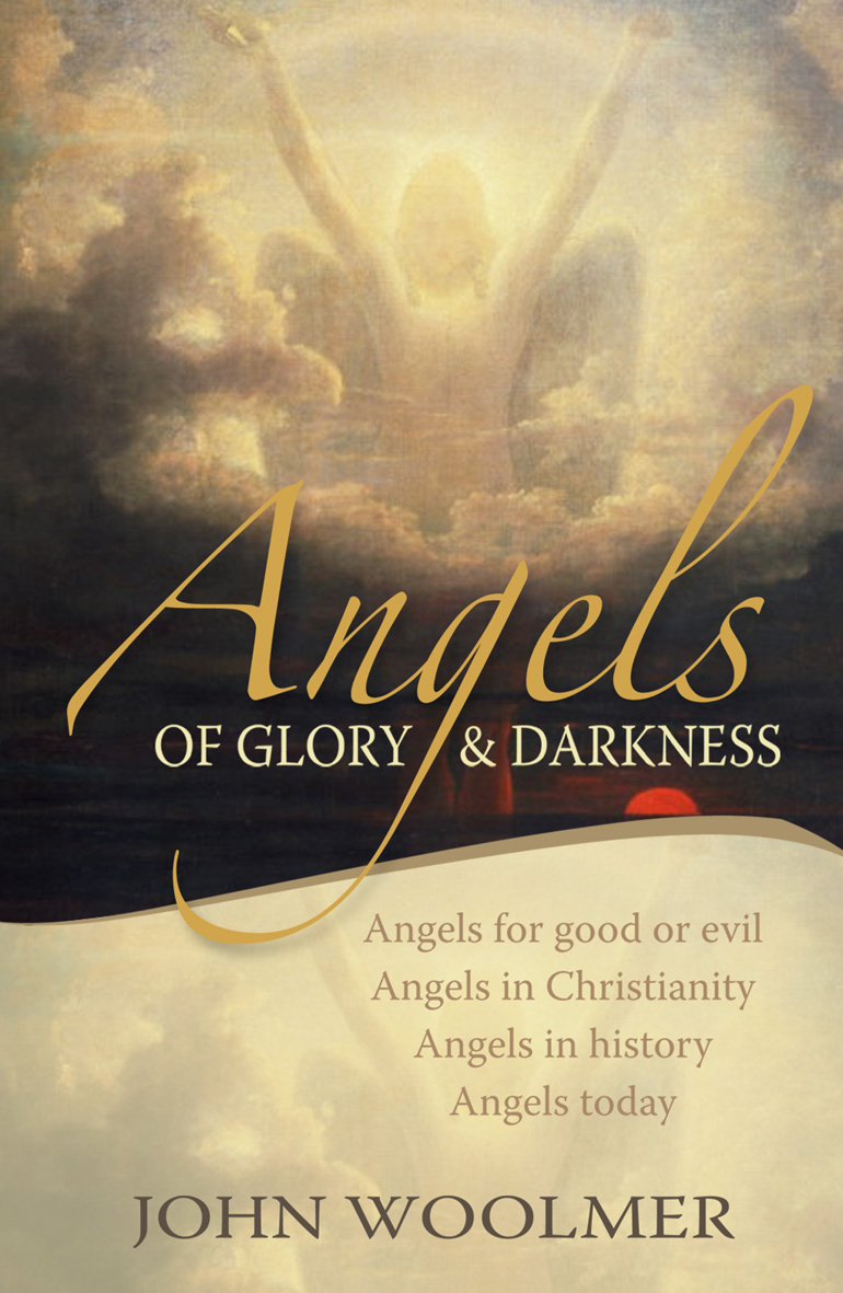 Angels of Glory and Darkness by John Woolmer Fast Delivery at Eden