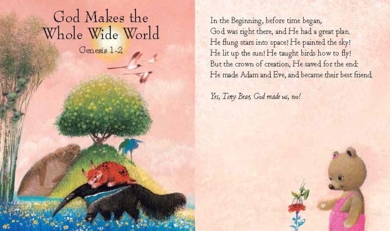 Tiny Bear Bible: Free Delivery when you spend £10 at Eden.co.uk