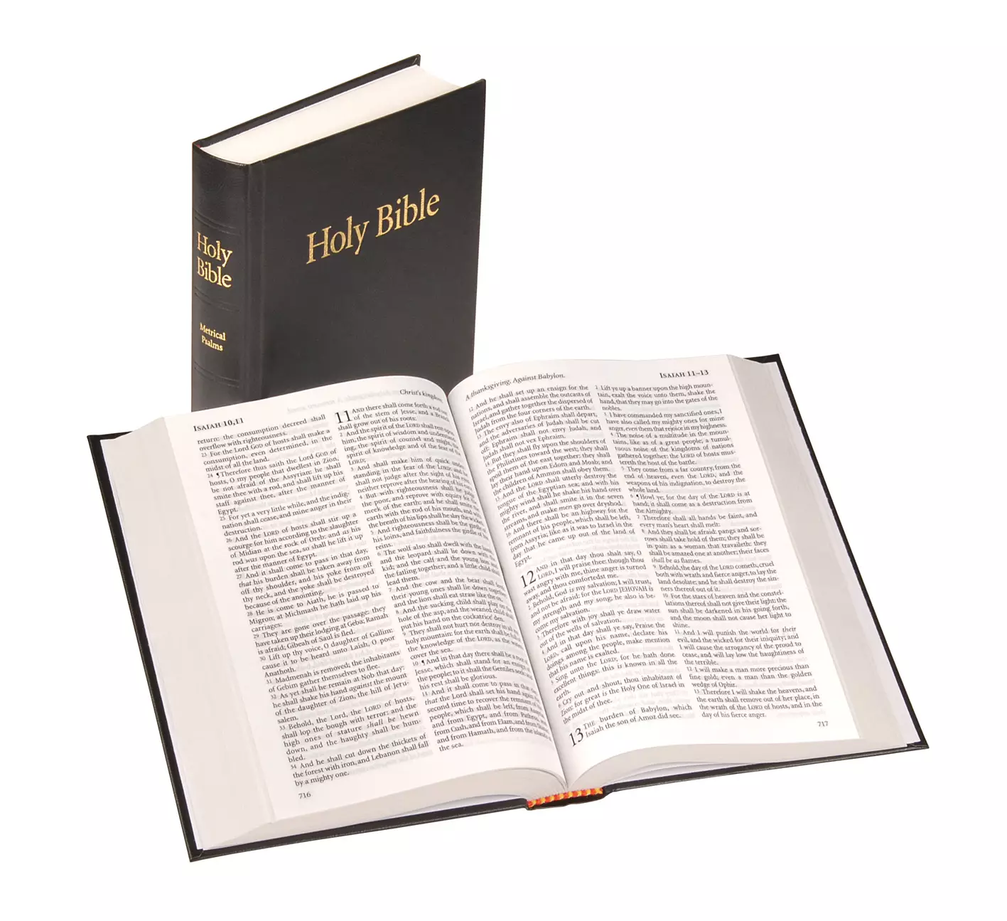 KJV Text Bible with Metrical Psalms: Black, Hardback