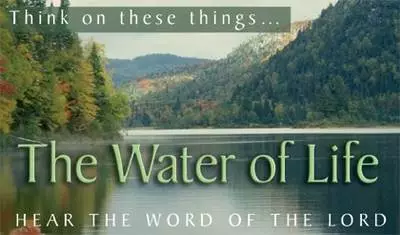 Pack of Tracts - The Water of Life (50 Tracts)