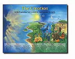 Creation Wall Chart (Laminated) 20x26