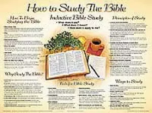 How to Study the Bible (Laminated)   20x26