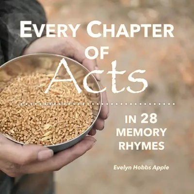 Every Chapter of Acts in 28 Memory Rhymes