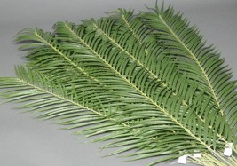 4 Foot Artificial Palm Branch