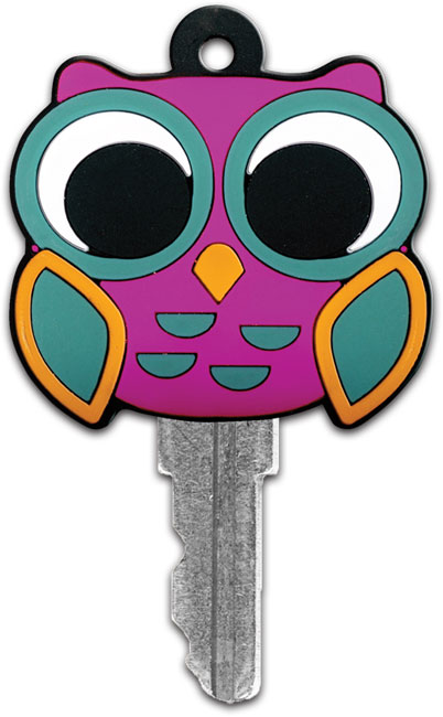 Owl key cover  free delivery when you spend 10  edencouk