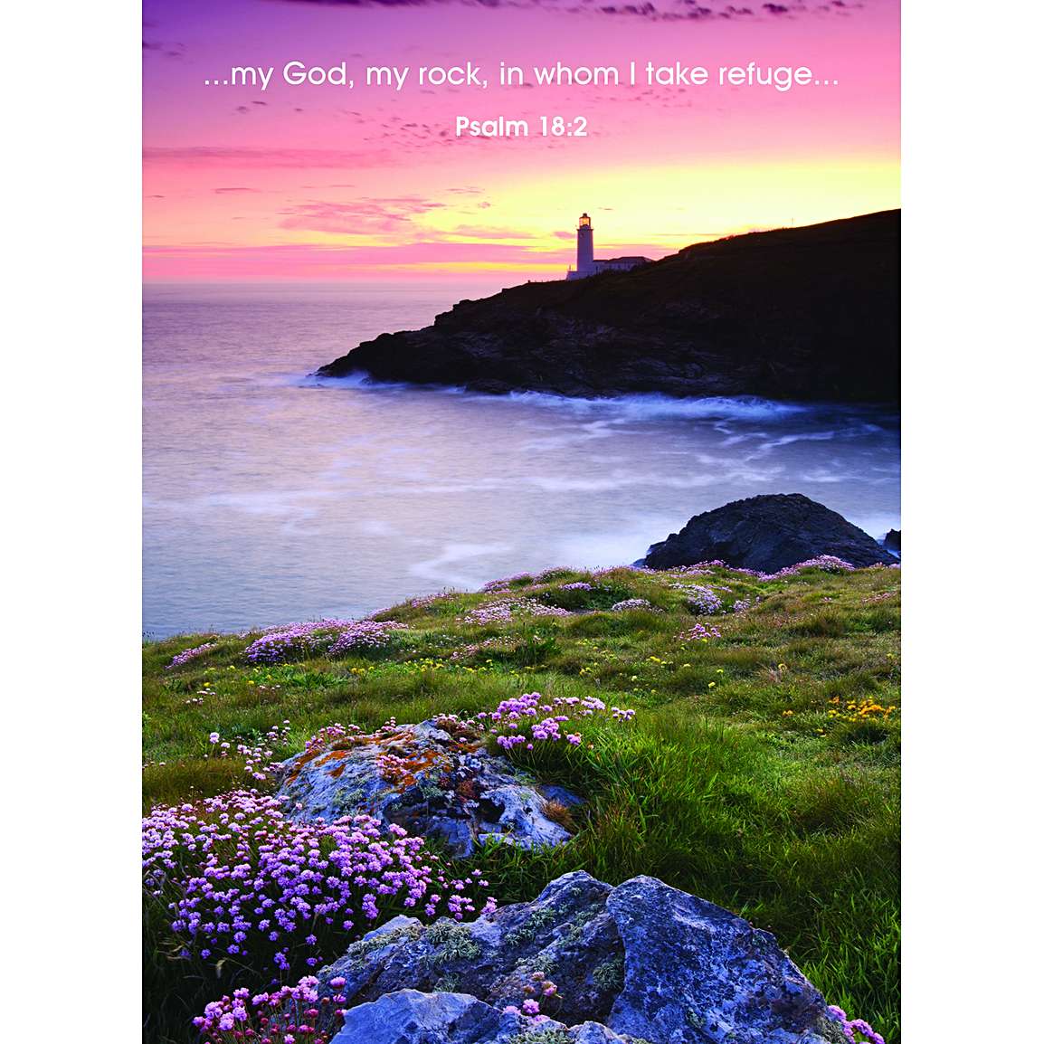 4 Kind Words Greeting Cards  Eden.co.uk