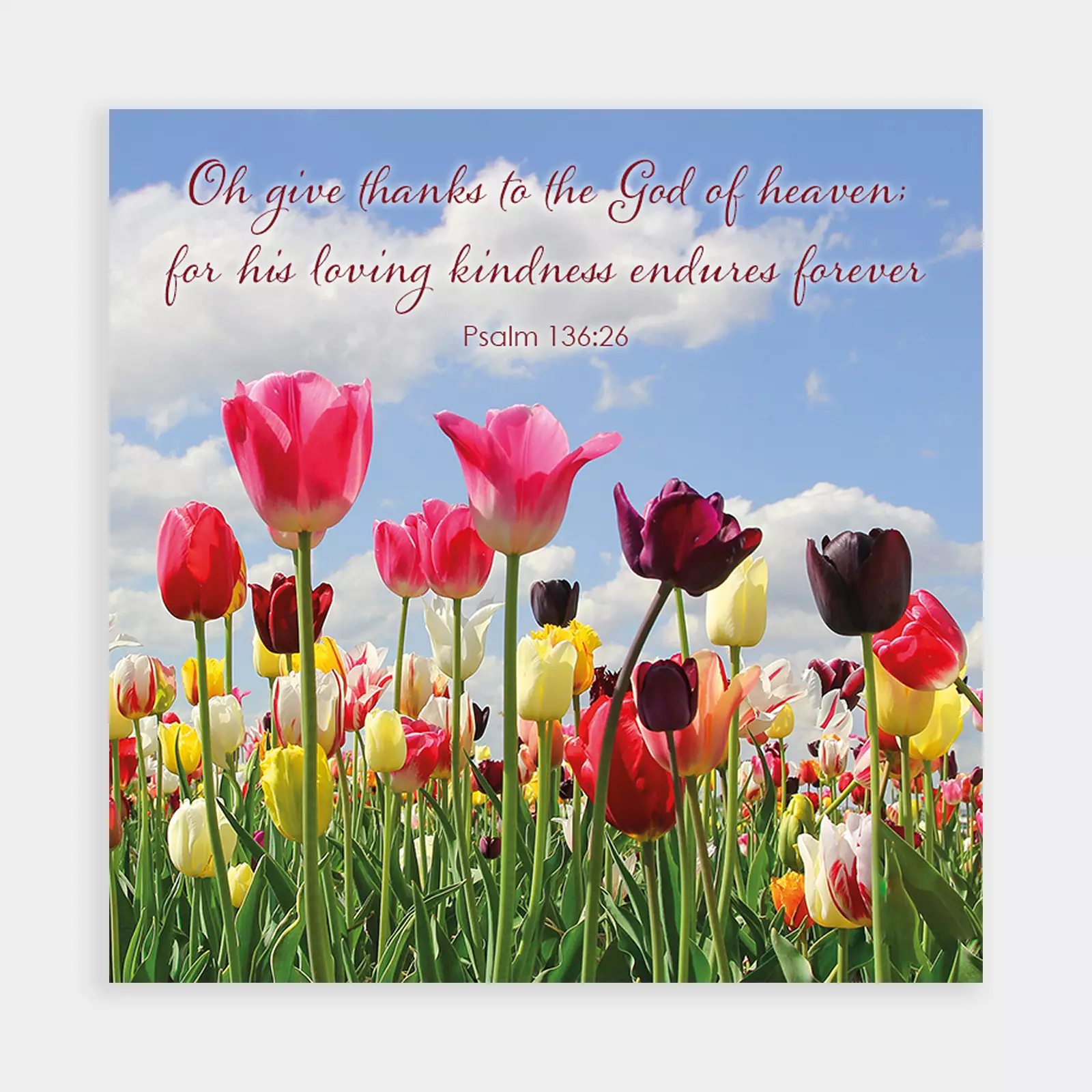 Spring Tulips Easter Cards (Pack of 4)