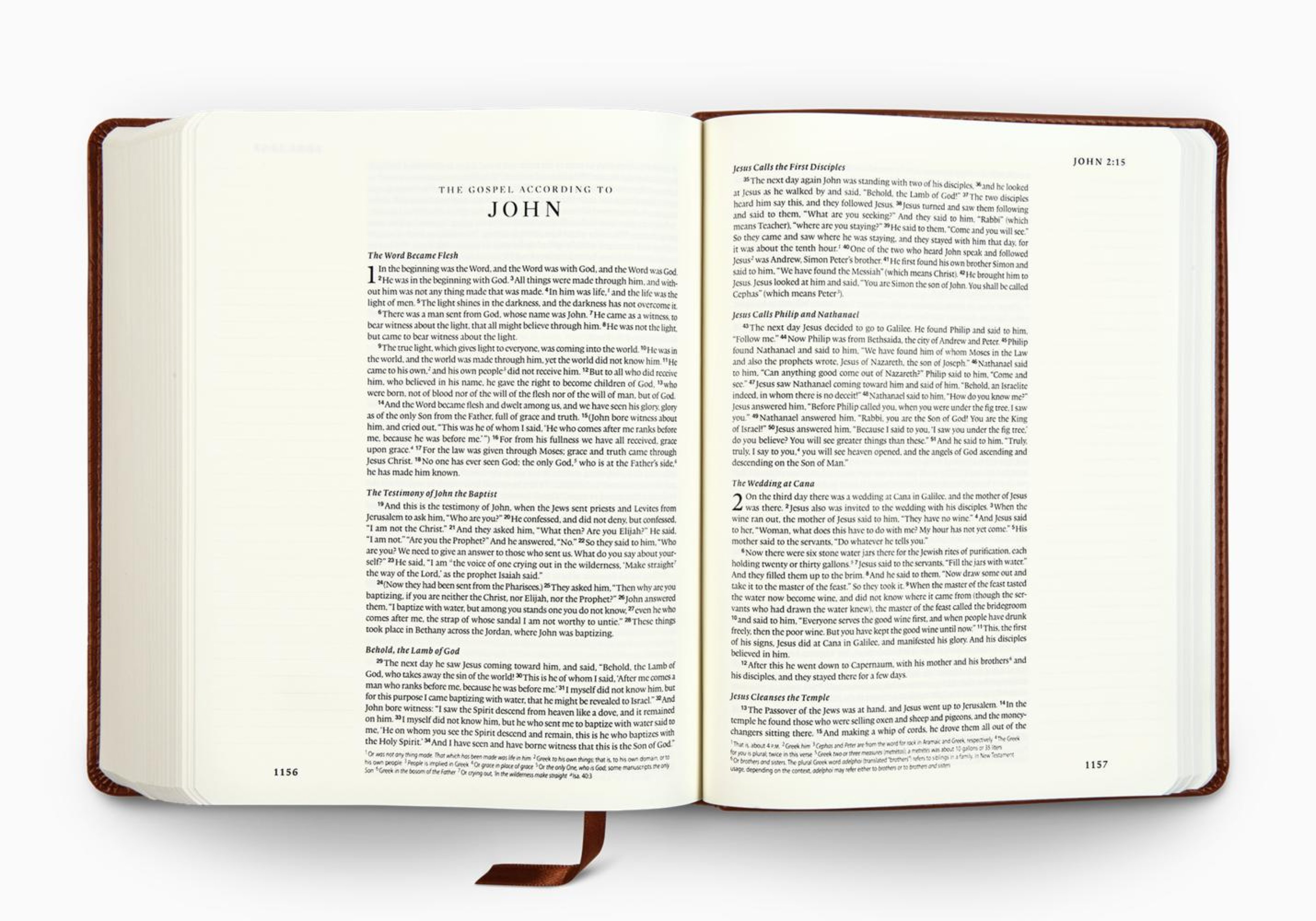 ESV Single Column Journaling Bible (TruTone, Chestnut, Leaves Design)