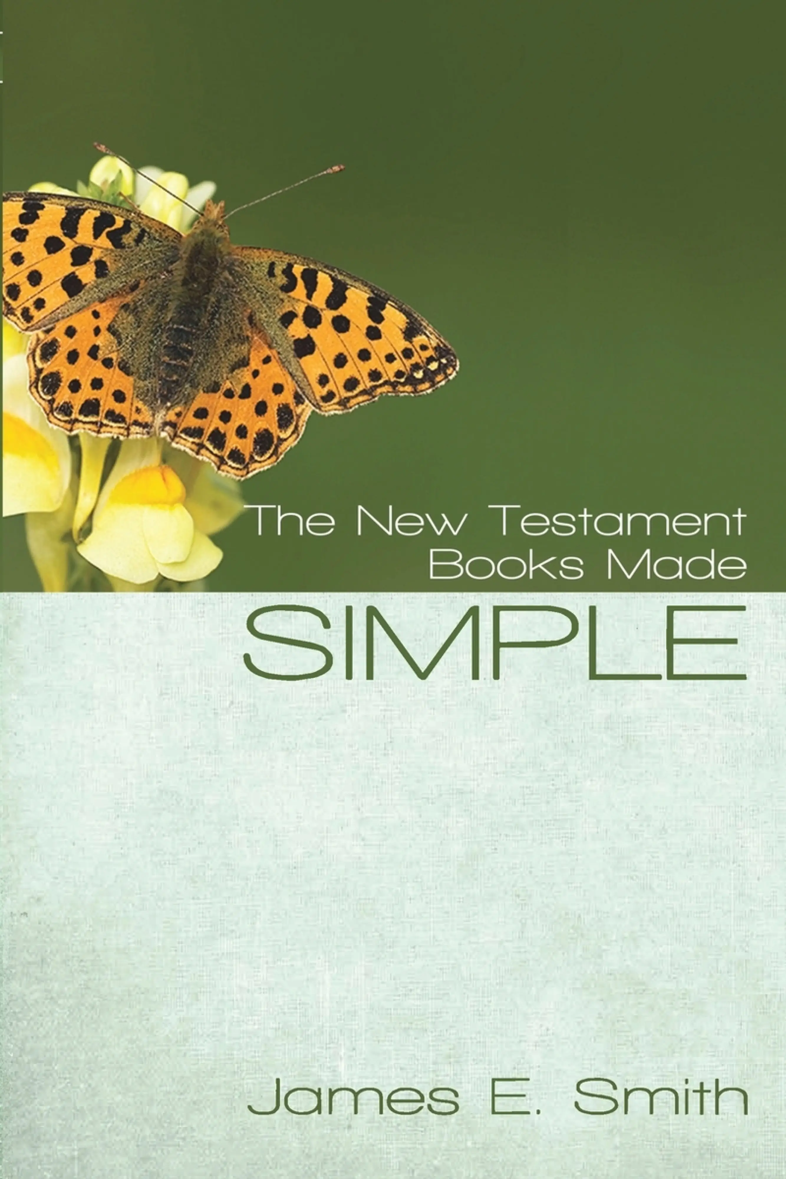 The New Testament Books Made Simple: Free Delivery at Eden.co.uk