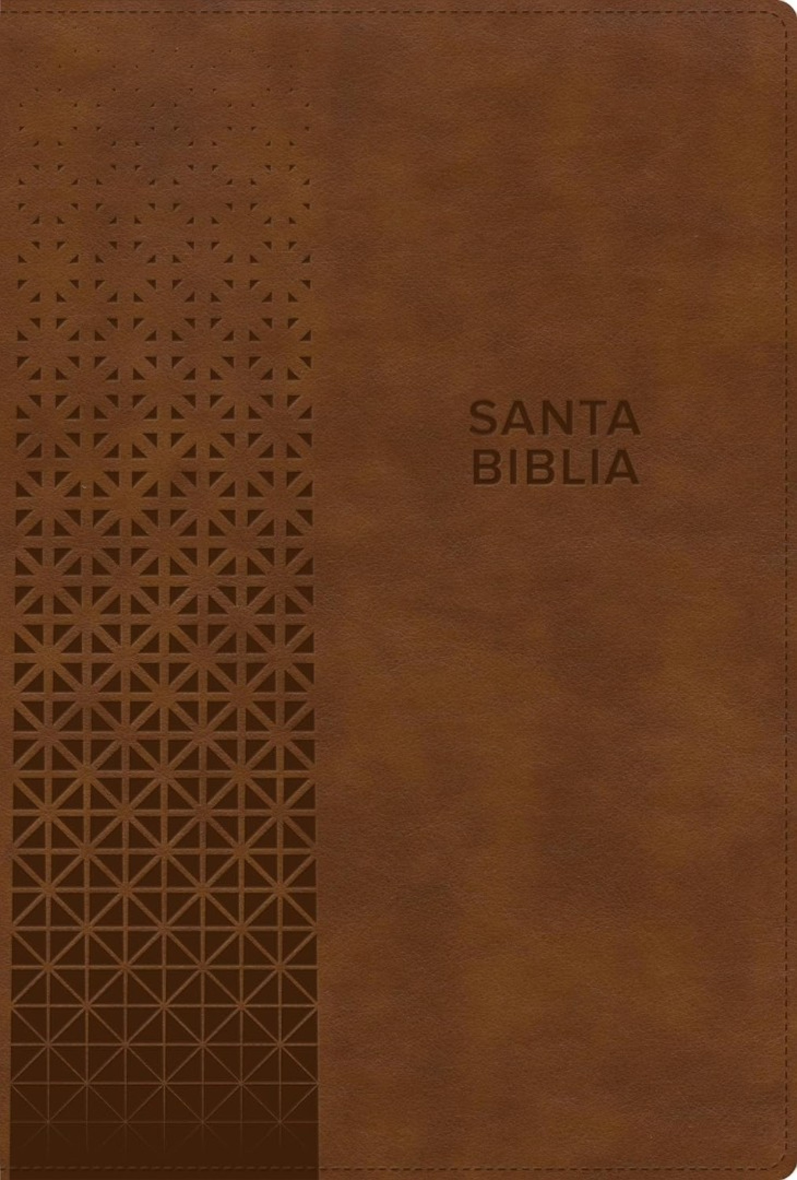 RVR 1960 Biblia Letra Grande, Tamaño Manual